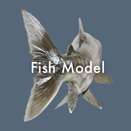 魚体模型