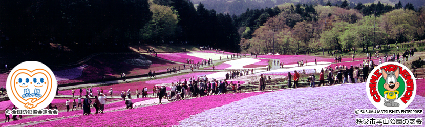 秩父市　芝桜