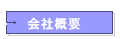 ЊTv